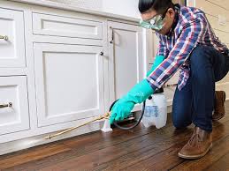 Best Pest Exclusion Services  in Clay, AL